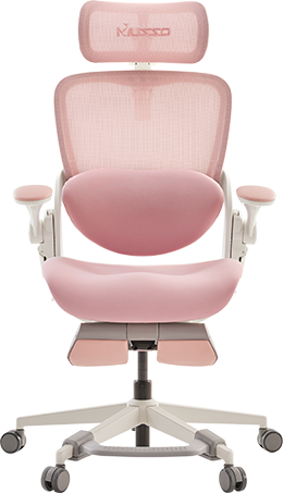 E600 SE Relaxure Ergonomic Office Chair