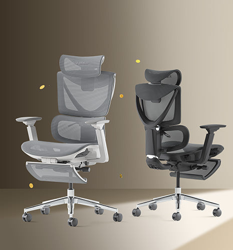 V900 Structure Master Ergonomic Office Chair