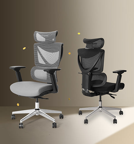 V900 Classic Ergonomic Office Chair