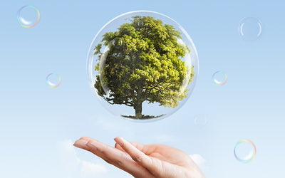 Climate Commitment