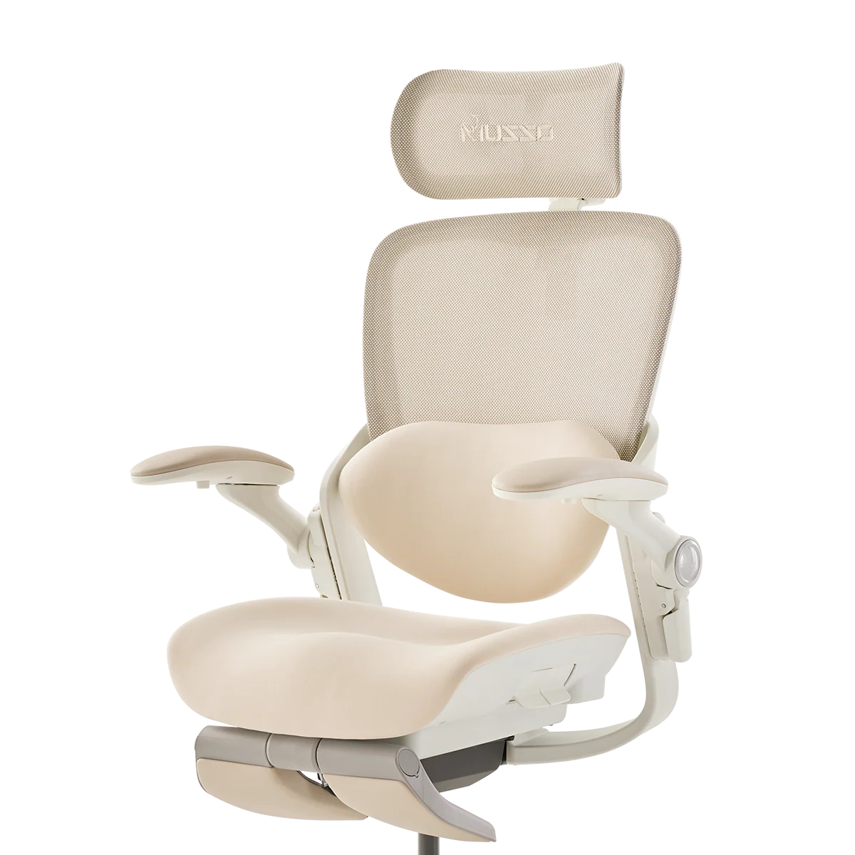 MUSSO E80 Muse