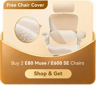 Free Chair Cover — Buy 2 E80 Muse / E600 SE Chairs — Shop & Get